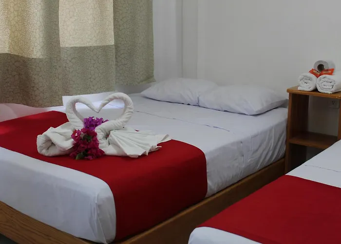 Hotel Victoria 2*